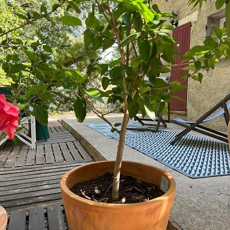Source D'Harmonie L'Ecureuil Terres Rouges La Rocaille L'Olivier Apartment เมย์เฮย ภายนอก รูปภาพ